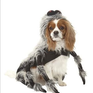 Spider dog costume